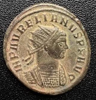 17_aurelian.jpg.cb154bdedf1fe8d71965613598373e6f.jpg