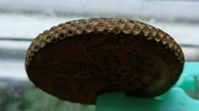 IMG-20250428-WA0131.jpg