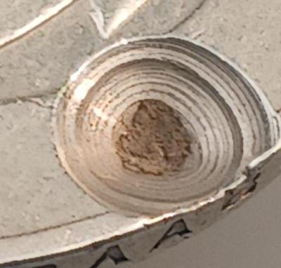 20250508_175530.jpg