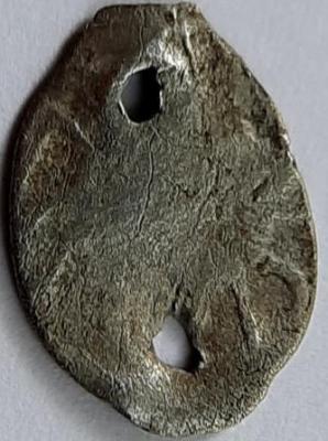 20250509_114234.thumb.jpg.e25cf8e7086d03bcde0e23f40b7c18ac.jpg