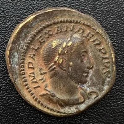 4_severus_alexander.thumb.jpg.e2601d852ec2aa7f7e7cea4d0d7b4c84.jpg