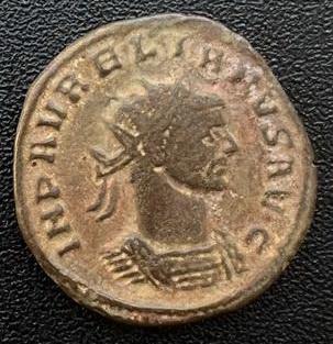 6_aurelianus.jpg.750f8ad2233229573f079ef6b030df72.jpg