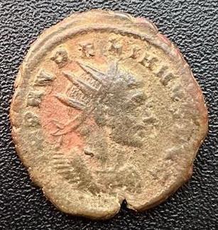 7_aurelian.jpg.42f5a9b2eec8eaf97ac56da350fd8b9a.jpg
