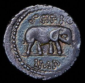 denariy-metell-piy-scipion-rim-respublika_98482-2.jpg.bf2ead97fded0548f5cc9e4663a6c3f3.jpg