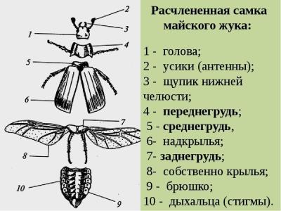 d641c488b4785b7b3a6f6f5aba28ce6b.jpg
