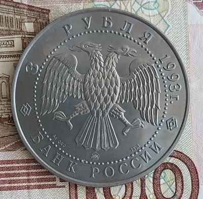 20250729_103337.jpg
