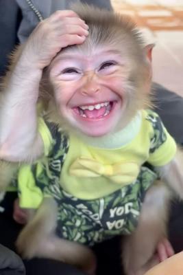 3804.thumb.jpg.e37c1b4a7b04c1ac79aa9bd69de9c9e6.jpg