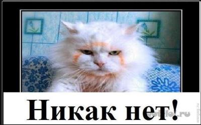 nikak.thumb.jpg.799e9a9b878eb3465ed733af8d56fa8d.jpg