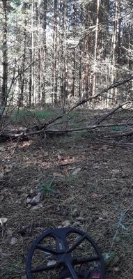 20250828_165056-1-1.jpg