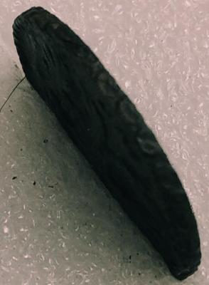 IMG_20250830_104110.jpg