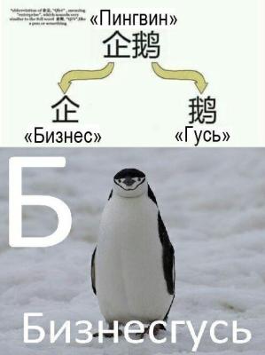 ипона.jpg