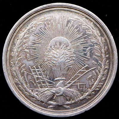 medal-pskovskoe-obshestvo-selskogo-hozyaystva-1895_99547-2.jpg.0bceced7b22892b0cebb5f6c31932e16.jpg
