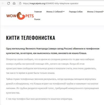 kitti_(koshka).thumb.jpg.d06cb8cd891133e2a9ae5d5c68944222.jpg