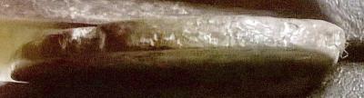 wp_20250926_12_53_49_pro.thumb.jpg.e196a0870a1a295904a0ef99aa131fc9.jpg