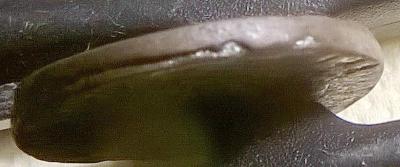 wp_20250926_13_00_17_pro.thumb.jpg.7d58f49859baae73eaf23de0fef18198.jpg