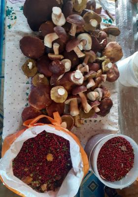 IMG-20250918-WA0000.jpg
