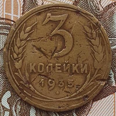 20251009_171428.jpg