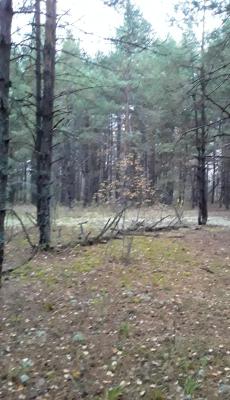 20251017_164405-1.jpg