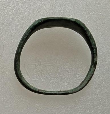 PXL_20251024_071319510.MP.jpg
