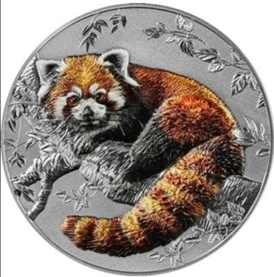 red_panda1.thumb.jpeg.61aef88314b537281f87dec6b1013ea3.jpeg