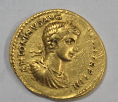 Каракал фото5.jpg