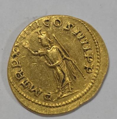 Каракал фото6.jpg