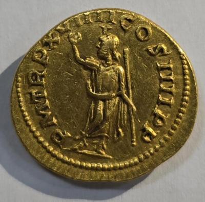 Каракал фото7.jpg