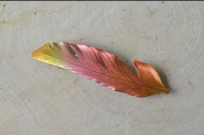 Способы электрохимического цветного патинирования медных изделий 1- Google Chrome.jpg