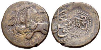 8114149_1764927250 (2).jpg