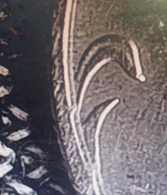 FullSizeRender (18).jpg