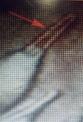 FullSizeRender (11).jpg