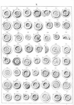 Снимок экрана 2026-02-16 в 9.03.10 AM.jpeg