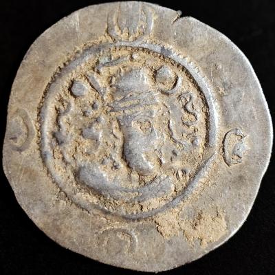 WhatsApp Image 2026-02-16 at 23.50.29.jpeg