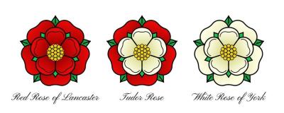 tudor-rose-meaning.jpg