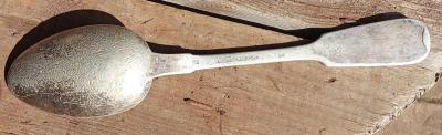 img_20260331_110921.thumb.jpg.53a09ac123330270e5f4b3e243b23d3a.jpg