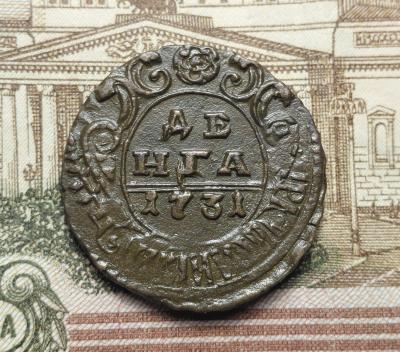 1731.jpg