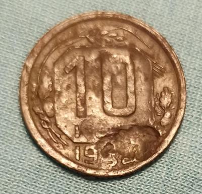 1775724674153.jpg