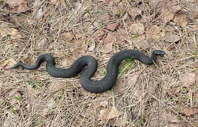 IMG_20260414_151208_337.jpg
