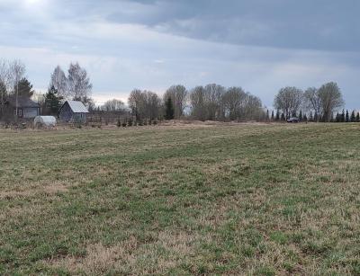 IMG_20260415_194534.jpg
