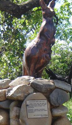 kangaroo-cooktown.thumb.jpg.d17b44f7336d602e9ed61220ecd99dda.jpg