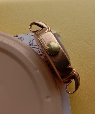 IMG_20260501_130943.jpg