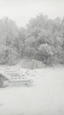 IMG_20260511_215808_951.jpg