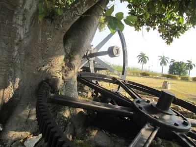 renan_en_la_demajagua-cuba_04.thumb.jpg.fe3c4f957839670429f81059e94eb767.jpg