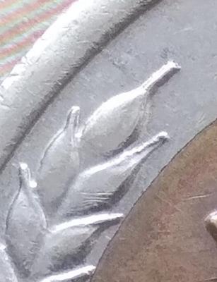 20260609_135717.jpg