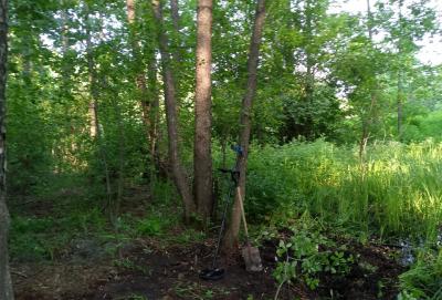 IMG_20260610_180906_976.jpg