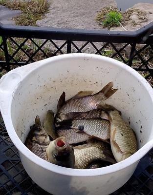 IMG_20260626_194734_847.jpg
