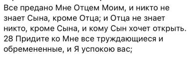 IMG_0100.jpeg