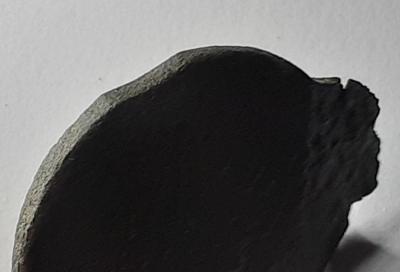 20260705_200959.jpg