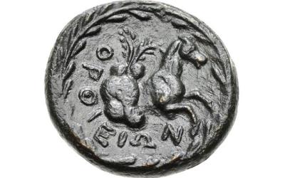 image-01-skyphios-horse-coins.tmb-slide-1900.thumb.jpg.e935de366582acd700194be78f1ee7a2.jpg