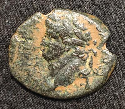 1000034662.jpg